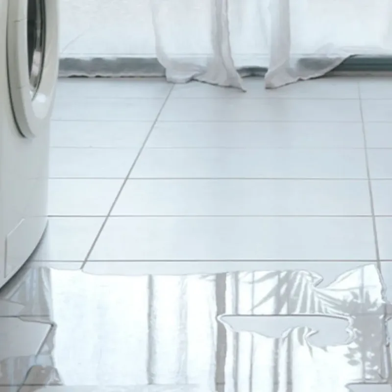 Appliance Leak Cleanup in Union, SC