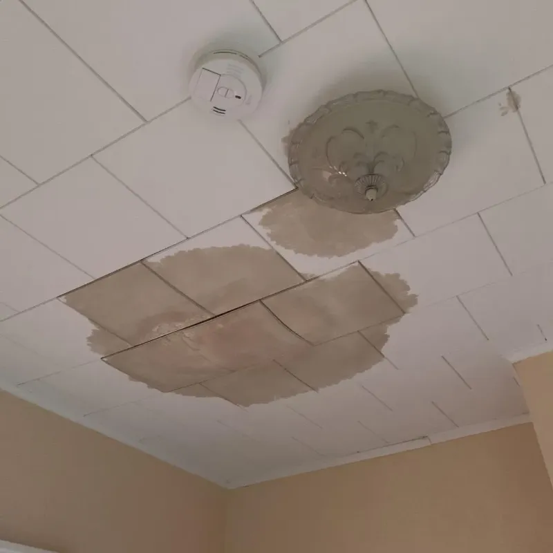 Ceiling Water Damage Repair in Union, SC